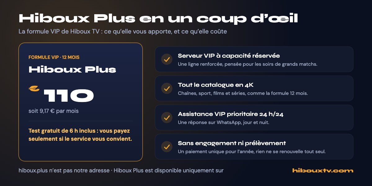 Hiboux Plus : la formule VIP de Hiboux TV en un coup d’œil, 110 € pour 12 mois avec test gratuit de 6 h